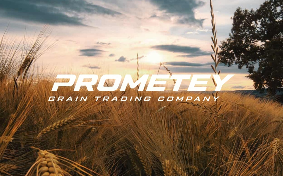 Corporate Website for Prometey